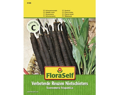 Balíček semien vylepšeného obrieho čierneho koreňa FloraSelf