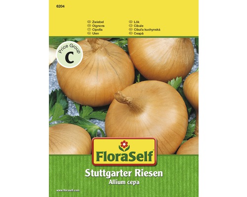 Cibuľa Stuttgarter Riesen FloraSelf