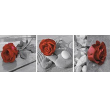 Dekoratívny obrázok ruže s kamennými motívmi