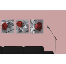 Dekoratívne nástenné obrazy s motívmi ruží nad gaučom