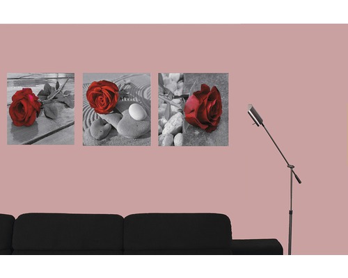 Dekoratívne nástenné obrazy s motívmi ruží nad gaučom