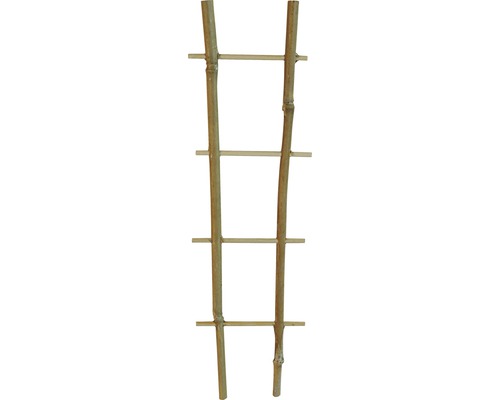 Bambusová podpera pre rastliny
