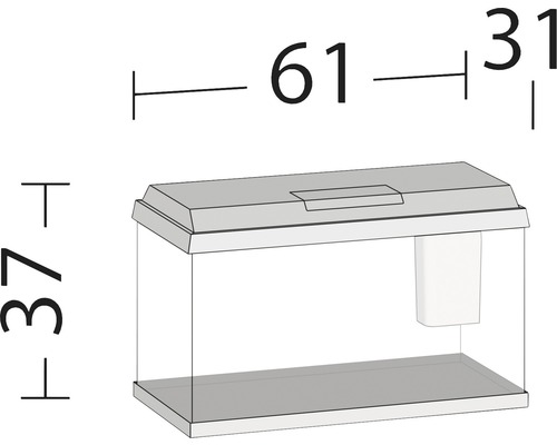 Obrázok akvária s rozmermi: 61 centimetrov dĺžka, 37 centimetrov výška, 31 centimetrov hĺbka