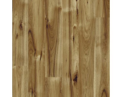 Laminátová podlaha Kaindl Masterfloor 8.0 hickory bravo P80070 HG