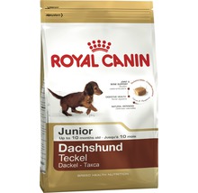 Granule pre psov Royal Canin Junior Jazvečík 1,5 kg-thumb-0