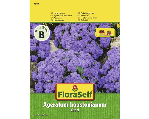 Balíček rastlín FloraSelf Ageratum houstonianum Capri