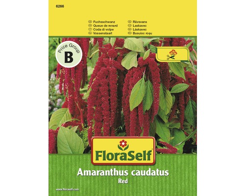 Balíček semien Laskavec Amaranthus caudatus