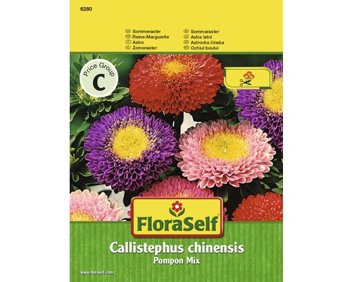 Astra čínska mix 'Callistephus chinensis' FloraSelf kvetinové semená