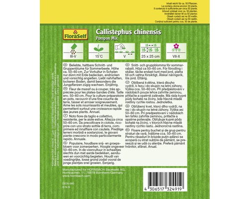 Balenie semien Callistephus chinensis Pompon Mix pre letné záhony