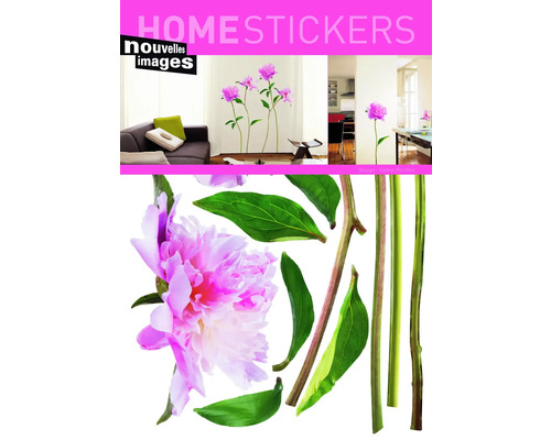 Samolepka na stenu s motívom pivonky na dekoráciu stien