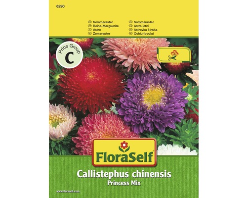 Astra čínska Princess 'Callistephus chinensis' zmes kvetinových semien FloraSelf