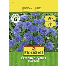Balíček semien FloraSelf nevädze obyčajnej Centaurea cyanus
