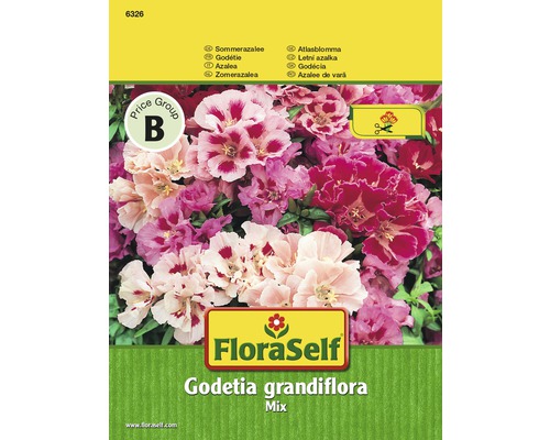 Letná azalka mix 'Godetia grandiflora' FloraSelf kvetinové semená