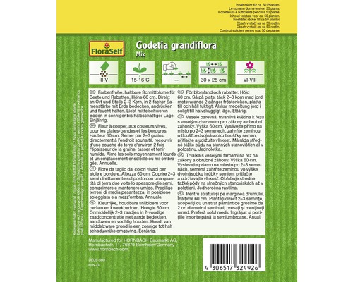 Balenie semien kvetov Godetia grandiflora Mix