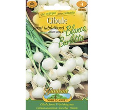 Balenie semien cibule Blanca Barletta