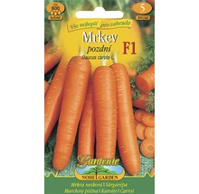 Balenie semien mrkvy do záhrady