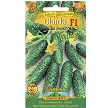 Balíček semien uhoriek pre záhradu