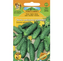 Obrázok balíčka semien uhorky nakladačky