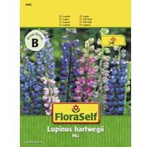 FloraSelf Lupína Hartwegova zmes semien