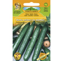 Balenie semien uhorky pre šalátové uhorky