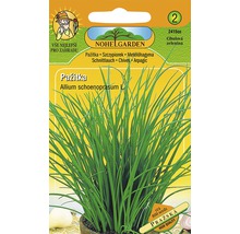 Balíček semien pažítky