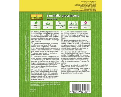 Balenie semien Sanvitalia procumbens Gelber Vogel