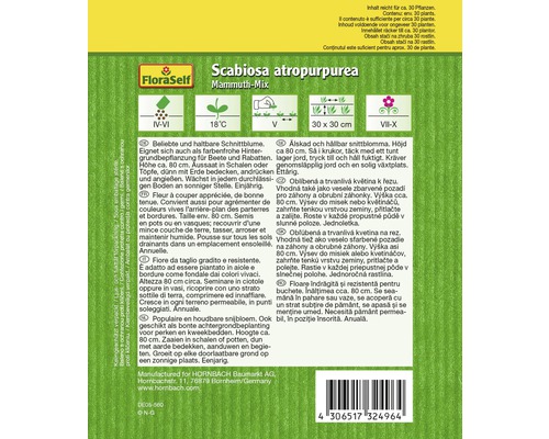 Balenie semien FloraSelf Scabiosa atropurpurea Mammuth-Mix