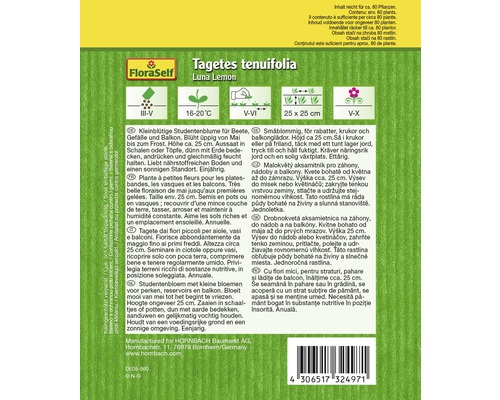 Balenie semien aksamitnice Luna Lemon