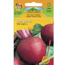 Balíček semien cvikly