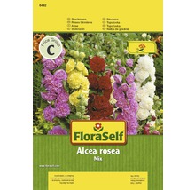 FloraSelf Topoľovka Alcea rosea zmes semien