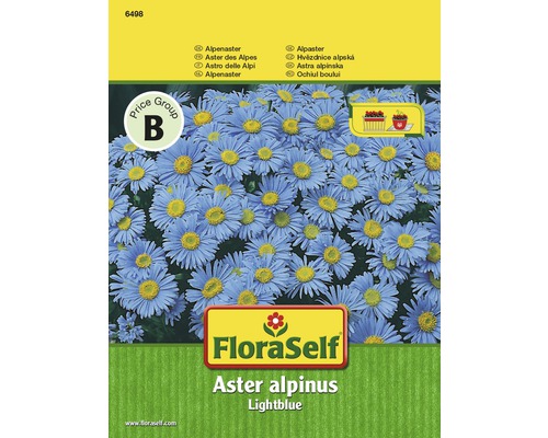 Astra alpínska Lightblue 'Aster alpinus' kvetinové semená FloraSelf-0