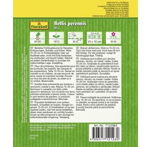 Balenie semien kvetov Bellis perennis Mix od značky FloraSelf