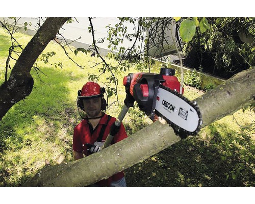 Muž reže strom vyvetvovacou pílou