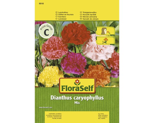 Balenie FloraSelf klinček záhradný Dianthus caryophyllus Mix