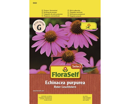 Balenie semien Rudbeckia nachová