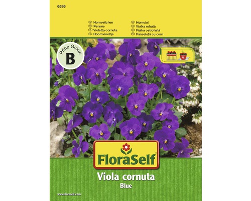 Fialka rohatá Viola Blue FloraSelf kvetinové semená
