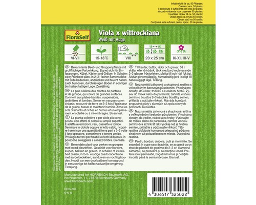 Balenie semien Viola X Wittrockiana Biela s okom