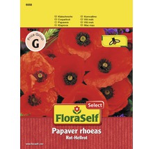 Vlčí mak FloraSelf Select Papaver rhoeas-thumb-0