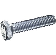 Skrutka so šesťhrannou hlavou so závitom