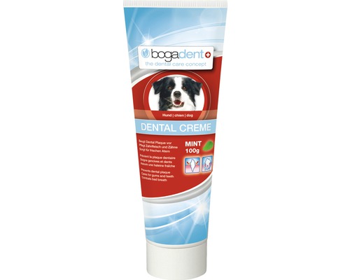 Zubná pasta pre psov Bogadent Dental Creme Mint 100 g Bogadent zubná pasta pre psov s mätou, 100 gramov