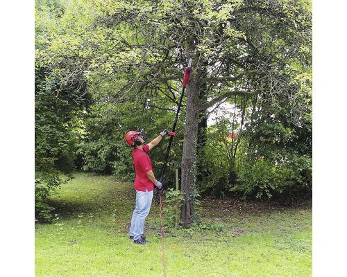 Muž prerezáva strom pomocou tyčovej píly v záhrade