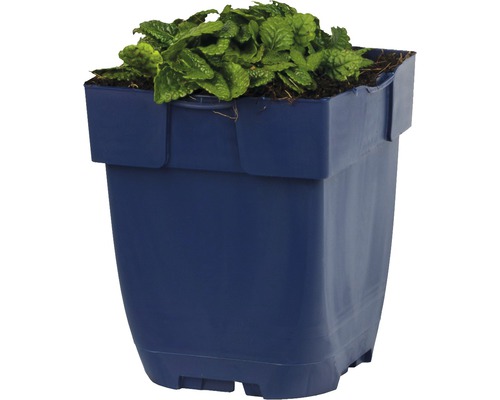 Plastový kvetináč so zelenou rastlinou