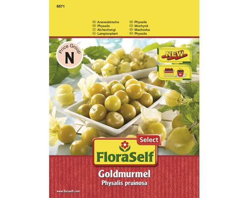 Balenie FloraSelf Goldmurmel Physalis Pruinosa