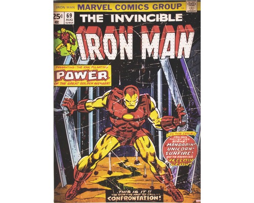 Obraz na plátne Marvel - Iron Man 50x70 cm-0