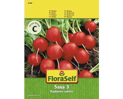 Reďkovka 'Saxa 3' FloraSelf-0