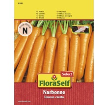 Mrkva 'Narbonne' výsevný pások FloraSelf Select