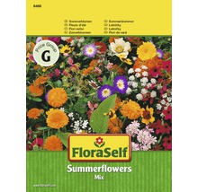 Balenie semien letných kvetov FloraSelf