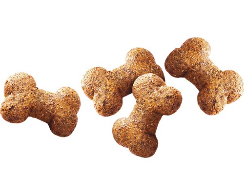 Štyri psie sušienky v tvare kosti