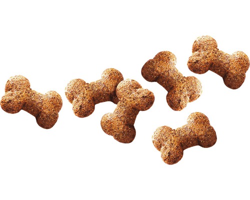 Niekoľko sušienok pre psov v tvare kosti
