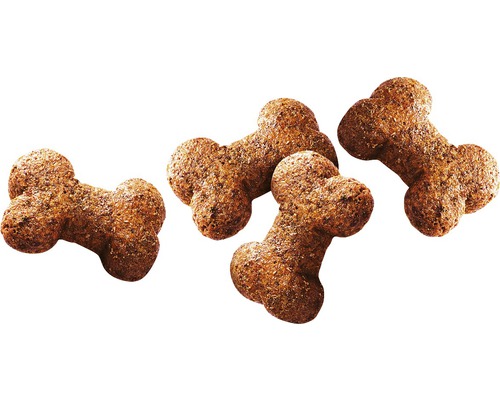 Niekoľko psích sušienok v tvare kosti
